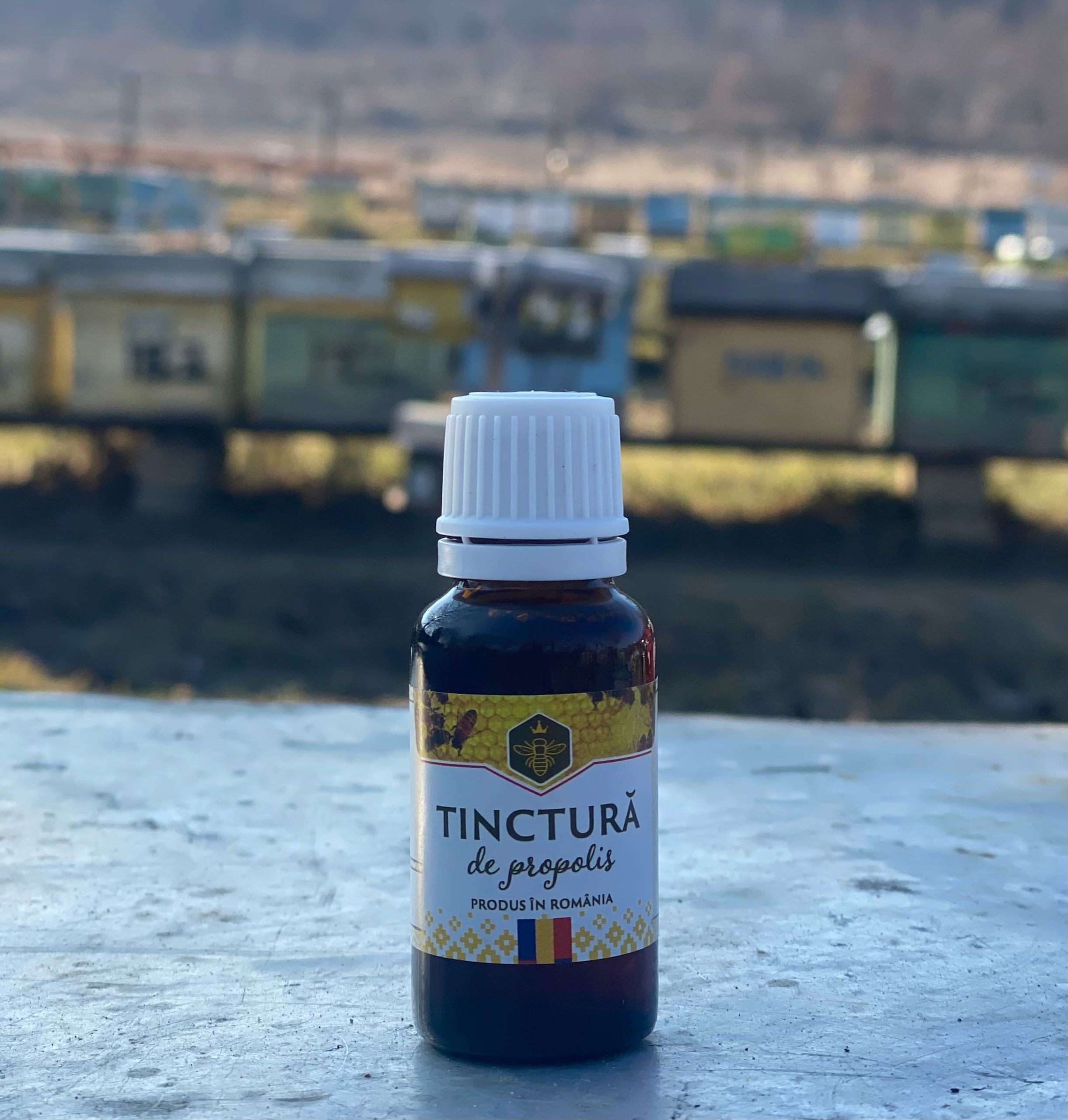 9799e8d2-acf2-4339-9cb9-a12e77ac4646-scaled-1.jpg Tinctură de propolis cu alcool (picurător) 20ml - imagine 1