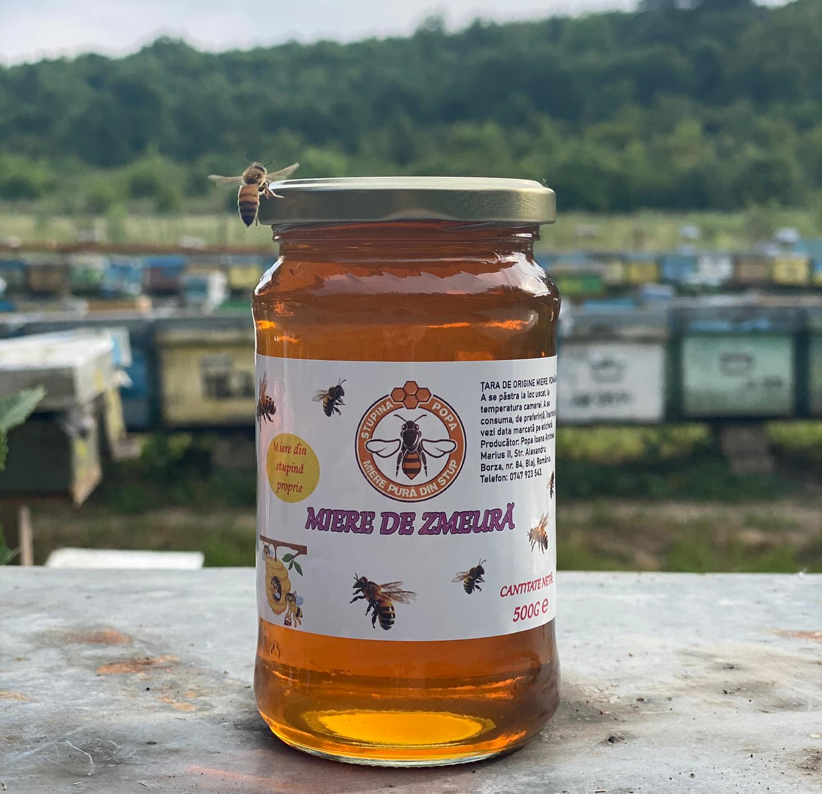 WhatsApp-Image-2024-07-11-at-16.54.29.jpeg Miere de Zmeură 500gr - imagine 1