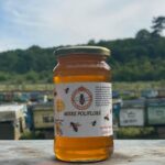 Miere Polifloră 500gr