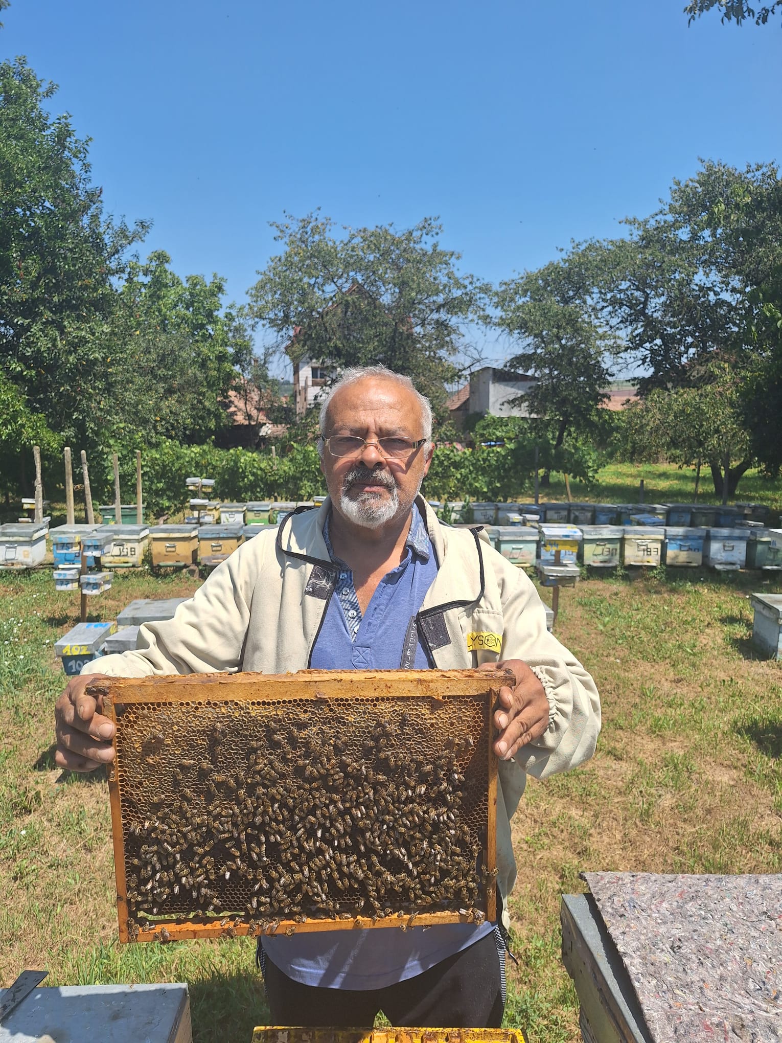 Stupina Popa - Apicultor