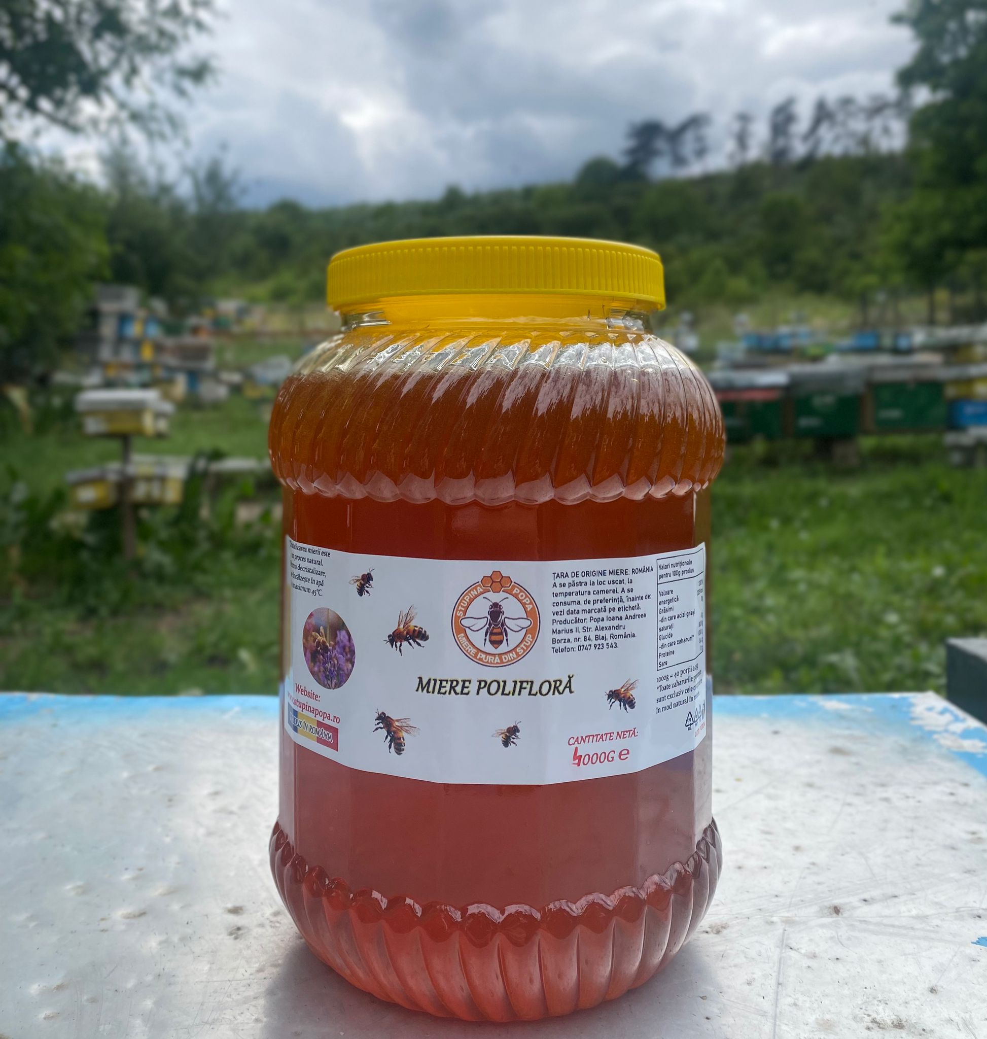 poli.jpg Miere polifloră bidon 4kg - imagine 1