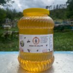 Miere de salcâm bidon 4kg