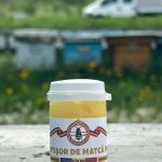 Lăptișor de matcă pur 20g